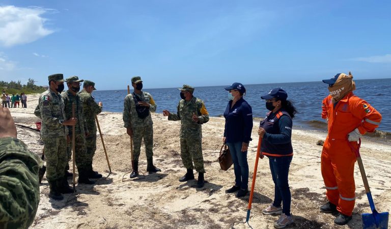 Marea Roja en Yucatán, bajo monitoreo del Comité Interinstitucional