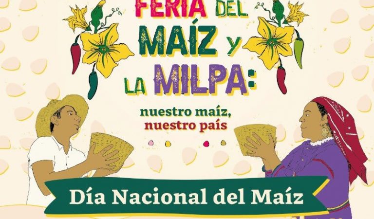 “Feria del Maíz y la Milpa: Nuestro maíz, nuestro país”, en el Zócalo de la CDM