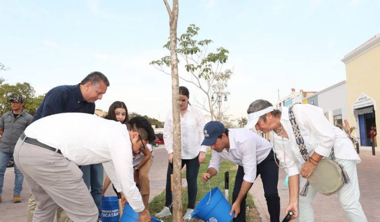 Plantados un millón de árboles con impulso del Gobernador Mauricio Vila